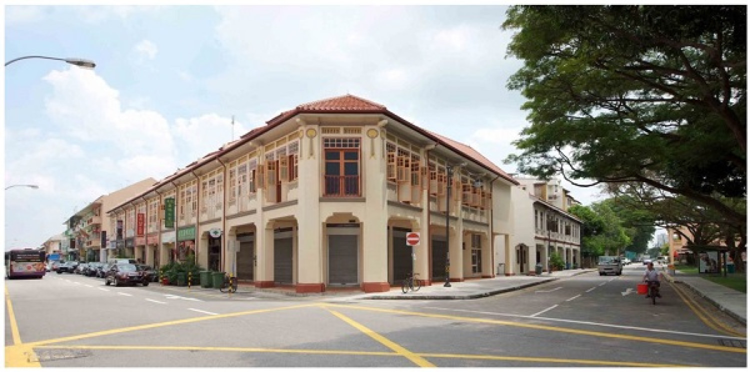 Nine adjoining shophouses at Joo Chiat Place going for $33.9 mil - Property News