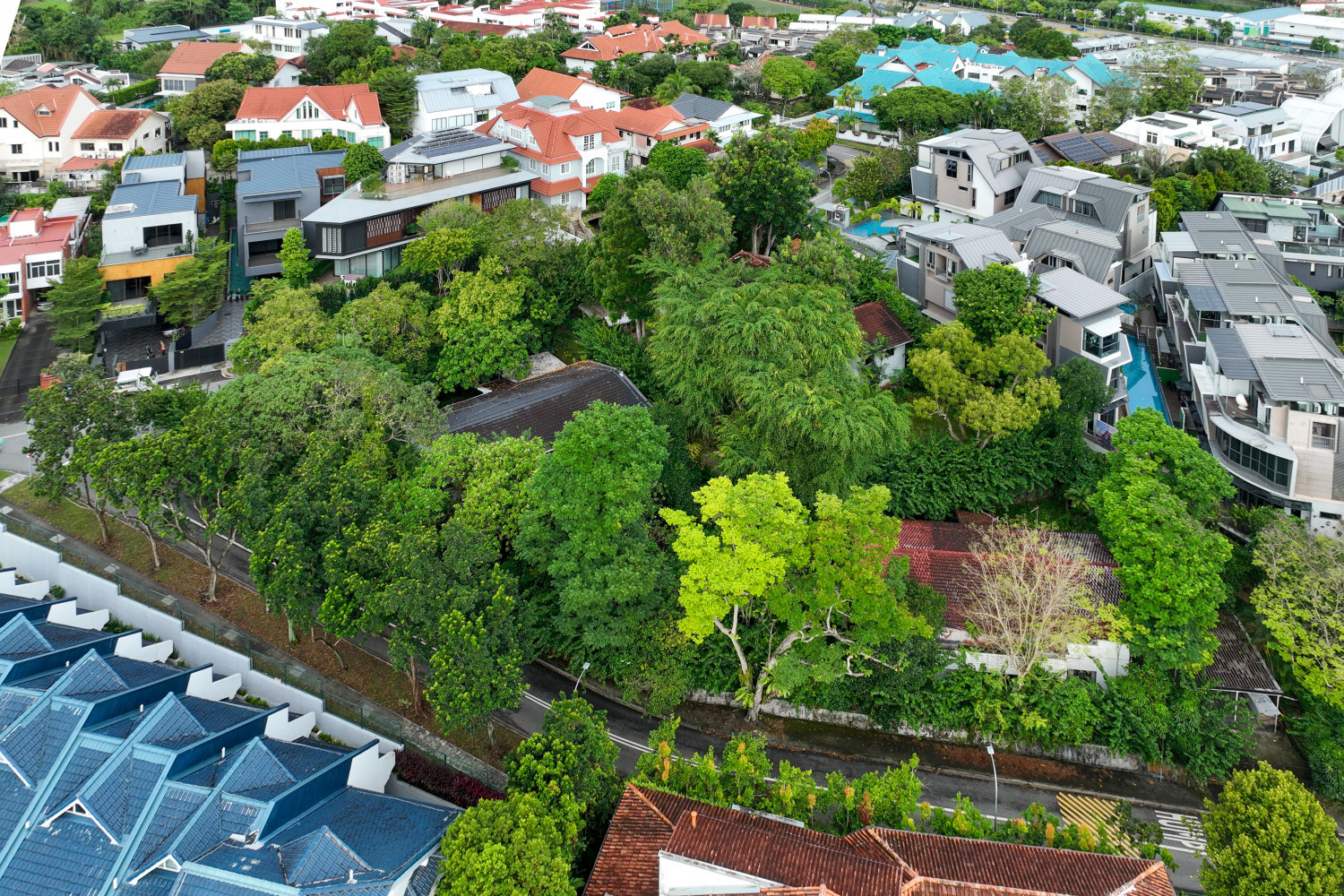 Freehold bungalows at Chancery Hill up for estate sale at $60 mil - Property News