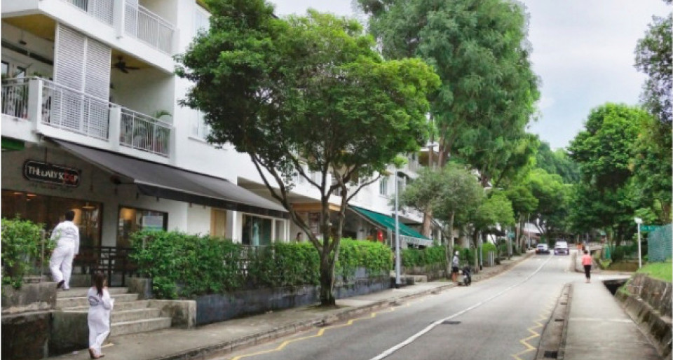 Holland Drive/Holland Close HDB flats reap benefits of locale rejuvenation - New launch property news