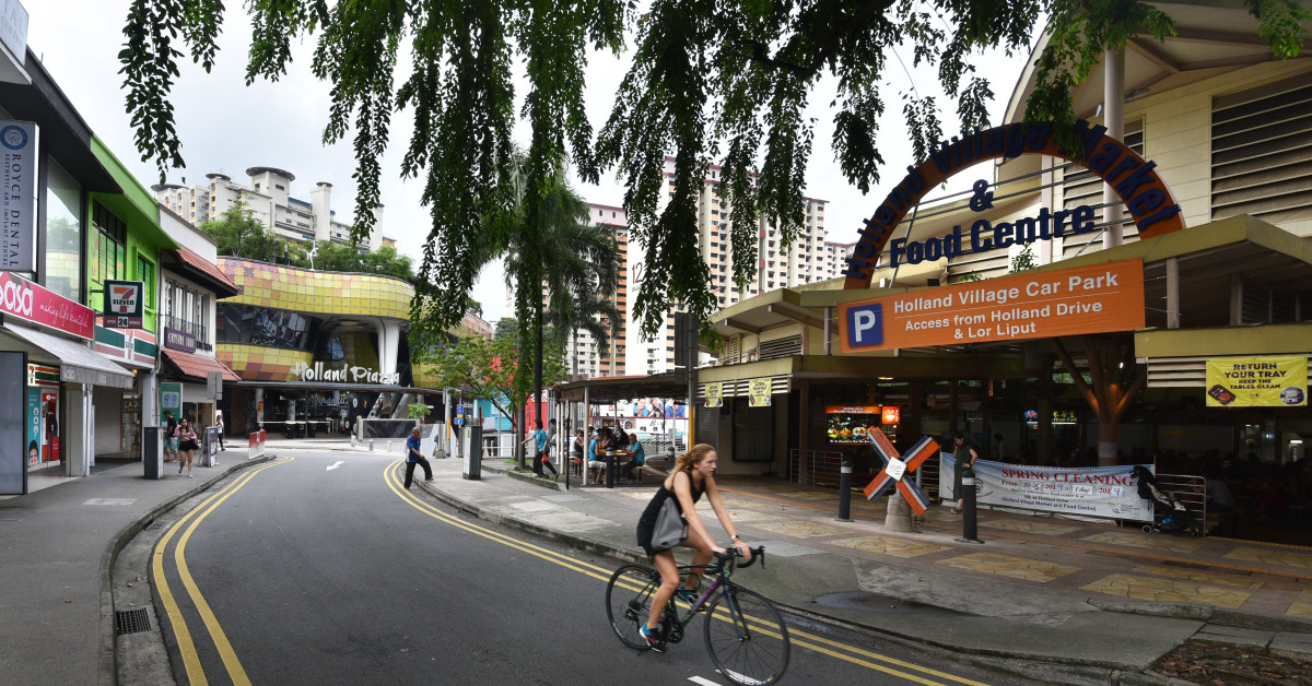 Adjoining GCBs at Ewart Park and Holland Road for sale at $35 mil and $31 mil respectively - EDGEPROP SINGAPORE