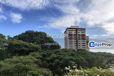 110 SPOTTISWOODE PARK ROAD HDB | Listing