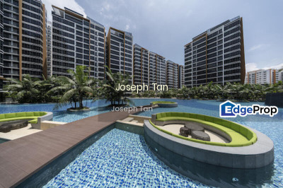 COCO PALMS Apartment / Condo | Listing