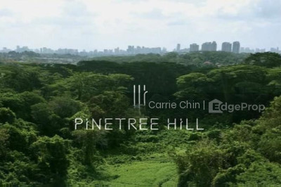 PINETREE HILL Apartment / Condo | Listing