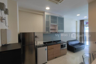 SUITES AT BUKIT TIMAH Apartment / Condo | Listing