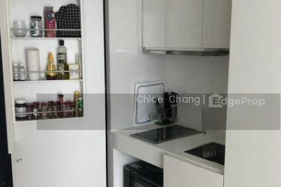 SKYSUITES @ ANSON Apartment / Condo | Listing