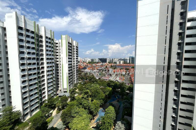 106A BIDADARI PARK DRIVE HDB | Listing