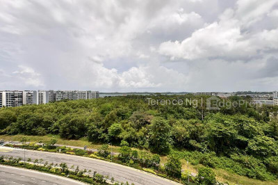 237 PASIR RIS STREET 21 HDB | Listing