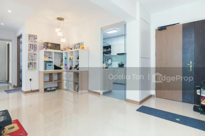 106A BIDADARI PARK DRIVE HDB | Listing