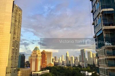 ANGULLIA PARK RESIDENCES @ ORCHARD Apartment / Condo | Listing