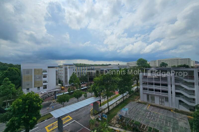 450 BUKIT PANJANG RING ROAD HDB | Listing