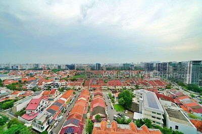 106B BIDADARI PARK DRIVE HDB | Listing