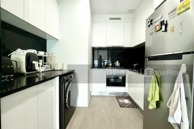 KALLANG RIVERSIDE Apartment / Condo | Listing