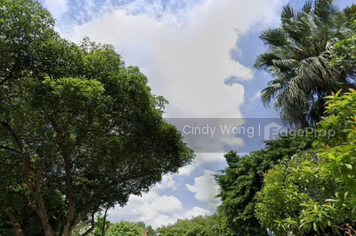 RAFFLES PARK Landed | Listing