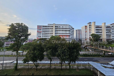 233 SERANGOON AVENUE 3 HDB | Listing