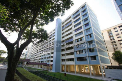 233 SERANGOON AVENUE 3 HDB | Listing