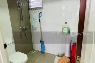 222A SUMANG LANE HDB | Listing