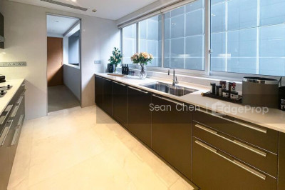 ST. REGIS RESIDENCES SINGAPORE Apartment / Condo | Listing