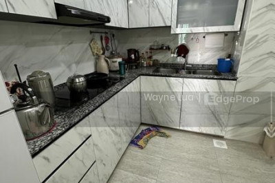 HOUGANG GREEN Apartment / Condo | Listing