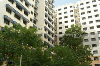 419 CANBERRA ROAD HDB | Listing