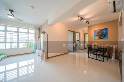 102A CANBERRA STREET HDB | Listing