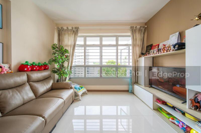 102A CANBERRA STREET HDB | Listing