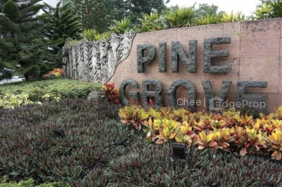 PINE GROVE Apartment / Condo | Listing