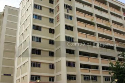 235 YISHUN STREET 21 HDB | Listing