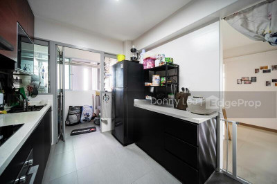 105B BIDADARI PARK DRIVE HDB | Listing