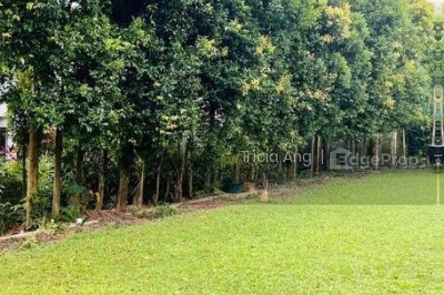 BIN TONG PARK Landed | Listing