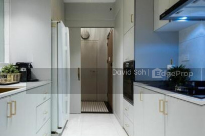 102A BIDADARI PARK DRIVE HDB | Listing