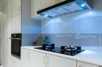 102A BIDADARI PARK DRIVE HDB | Listing