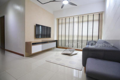 459 SEGAR ROAD HDB | Listing