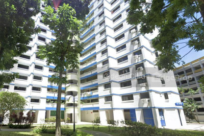 176 LOMPANG ROAD HDB | Listing