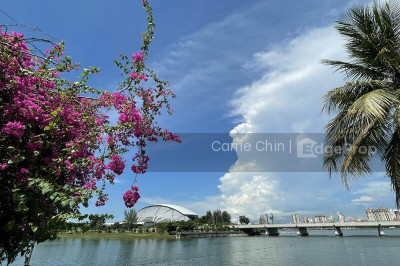 KALLANG RIVERSIDE Apartment / Condo | Listing