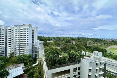 102A CANBERRA STREET HDB | Listing