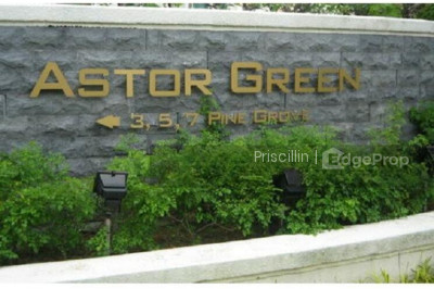 ASTOR GREEN Apartment / Condo | Listing