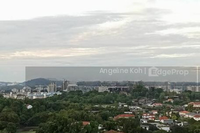 39A MARGARET DRIVE HDB | Listing