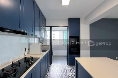 105A BIDADARI PARK DRIVE HDB | Listing