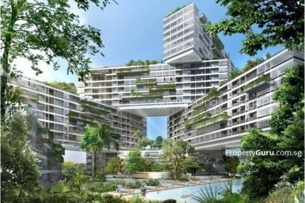 THE INTERLACE  | Listing