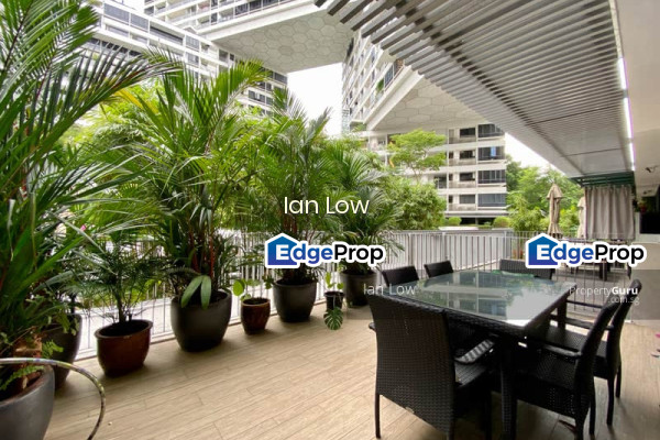 THE INTERLACE  | Listing