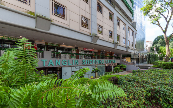 [UPDATE] Pacific Eagle swoops in on Tanglin Shopping Centre for $868mil - Property News