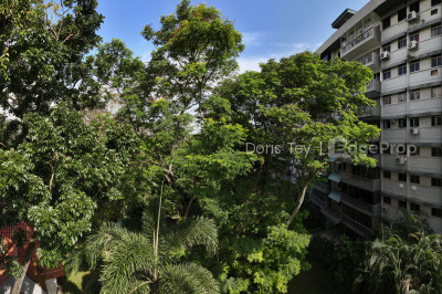 PARK VIEW MANSION Apartment / Condo | Listing