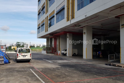 TG BUILDING