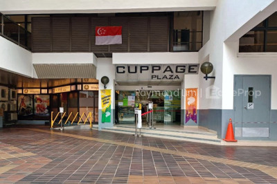 CUPPAGE PLAZA Commercial | Listing