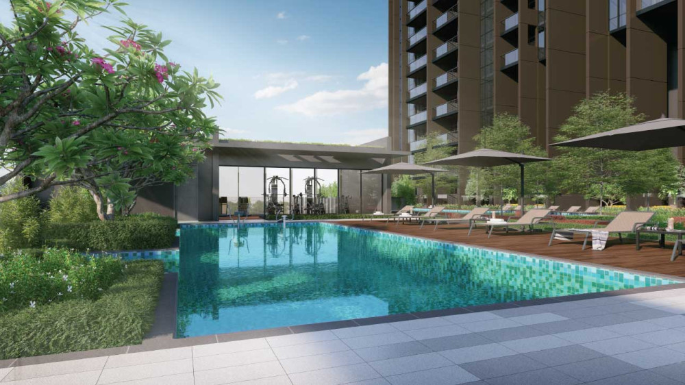 Pullman Residences Newton - New Launch Apartment 2024 4