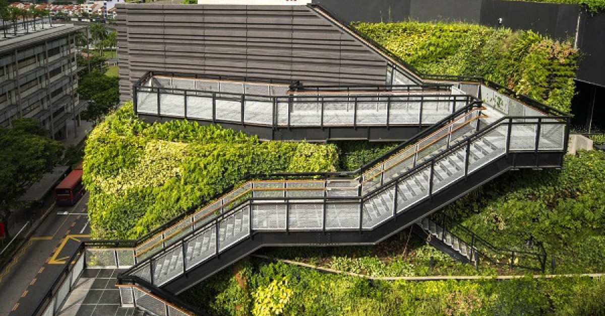 Urban farming in Singapore - EDGEPROP SINGAPORE