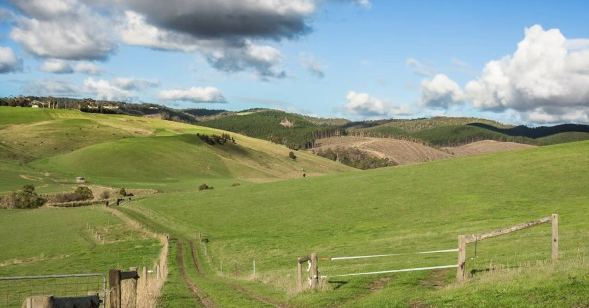 China-Australia relations: Chinese buyers defy Beijing-Canberra blues to say 'Bonza' to farmland Down Under - EDGEPROP SINGAPORE